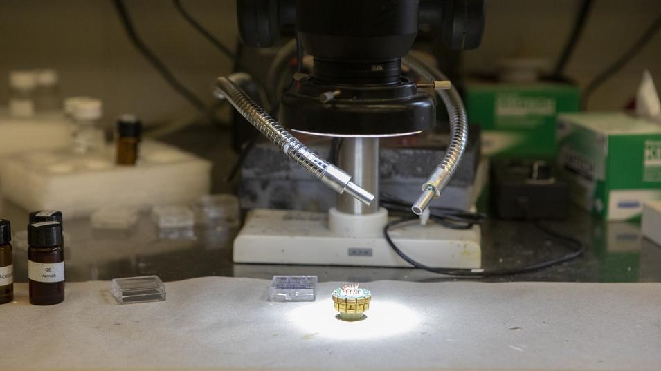 Current Climate: Why The Internet Got Excited About Room-Temperature Superconductors