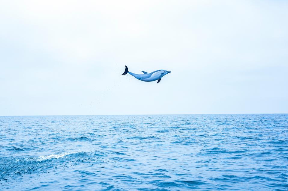 The Beauty Of Our Planet In Photos: 15 Winners Of Life Framer Photography Awards