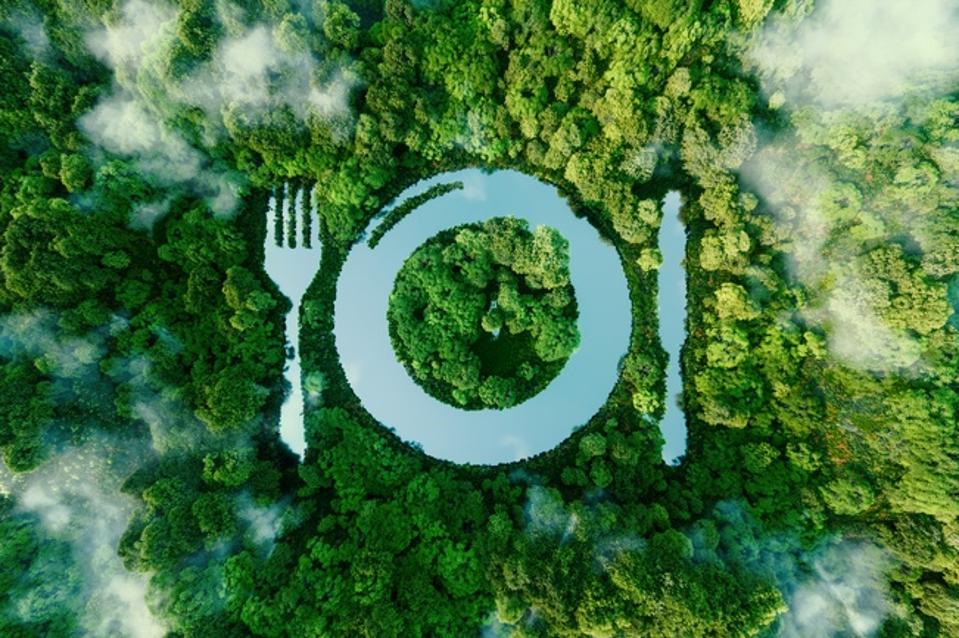 Ireland’s Strong Roots Embraces Carbon Footprint Labeling