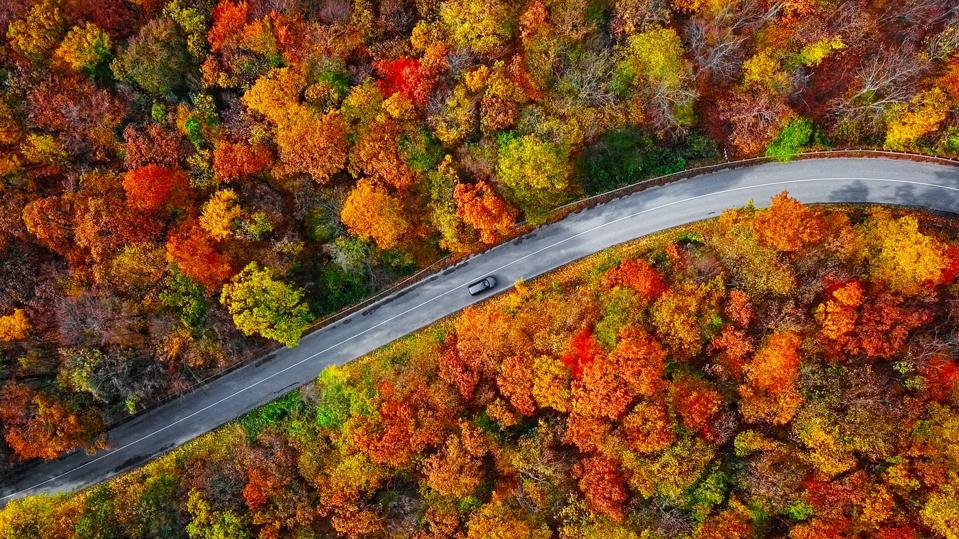 Press Your Luck With These 5 Fall Travel Contests
