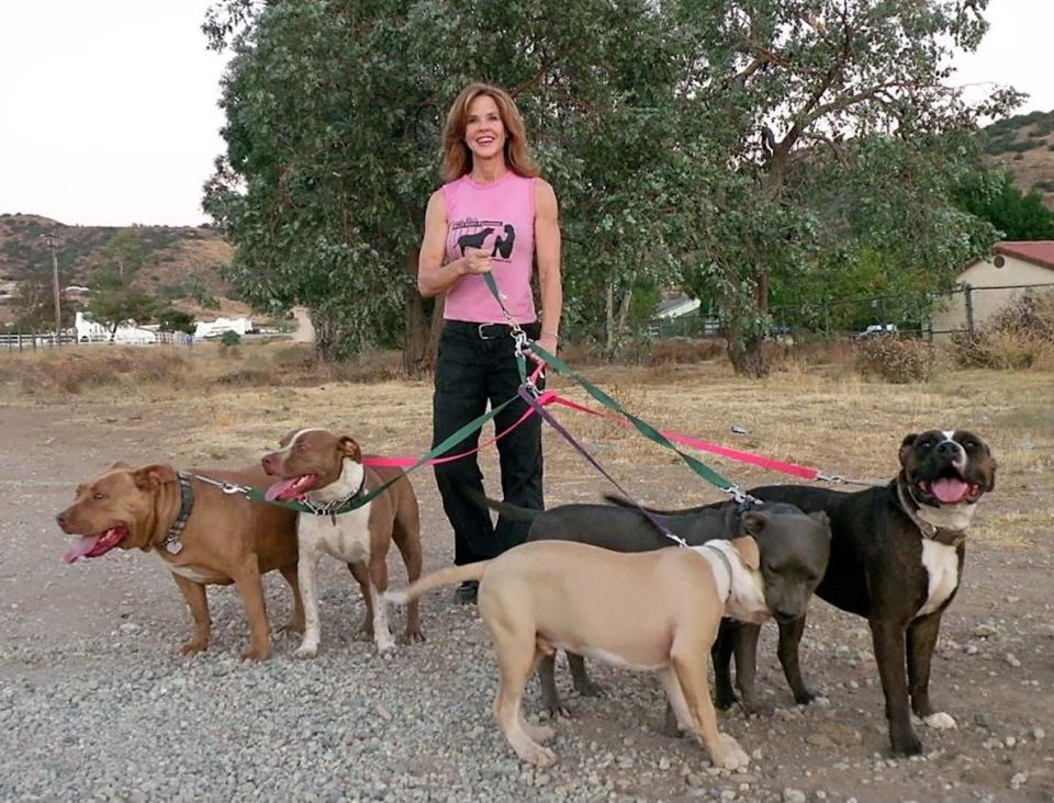 Linda Blair Has Dedicated Her Life To Saving Dogs