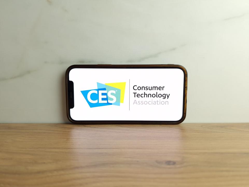 The Unmissable Highlights From CES 2024 The Money Times   960x0 455 