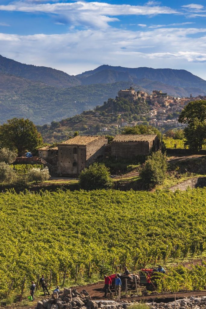Where To Eat Near Mount Etna, Picked By Tornatore’s Winemaker