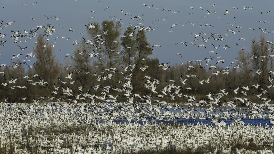 This Scenic California County Is An Underrated Gem For Nature Lovers