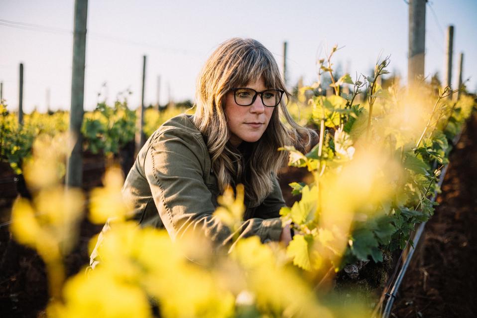 Keeping An Oregon Wine Brand True To Its History