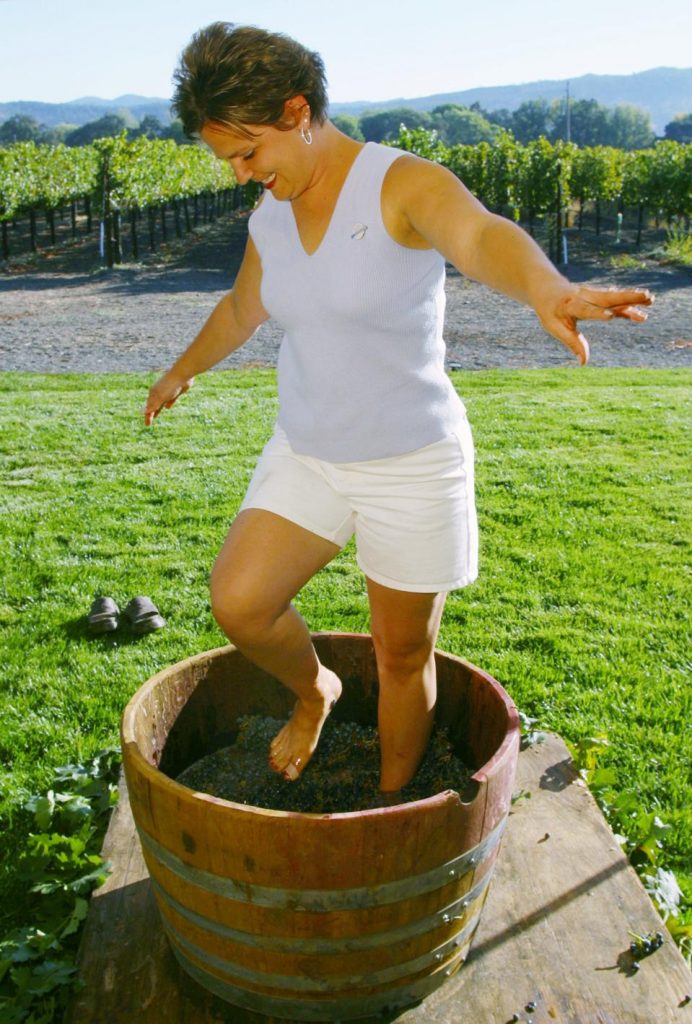 Harvest Time The Best Time To Experience California’s Napa Valley