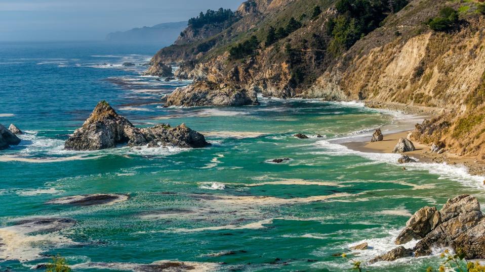 5 Essential California State Parks For Wildlife Lovers