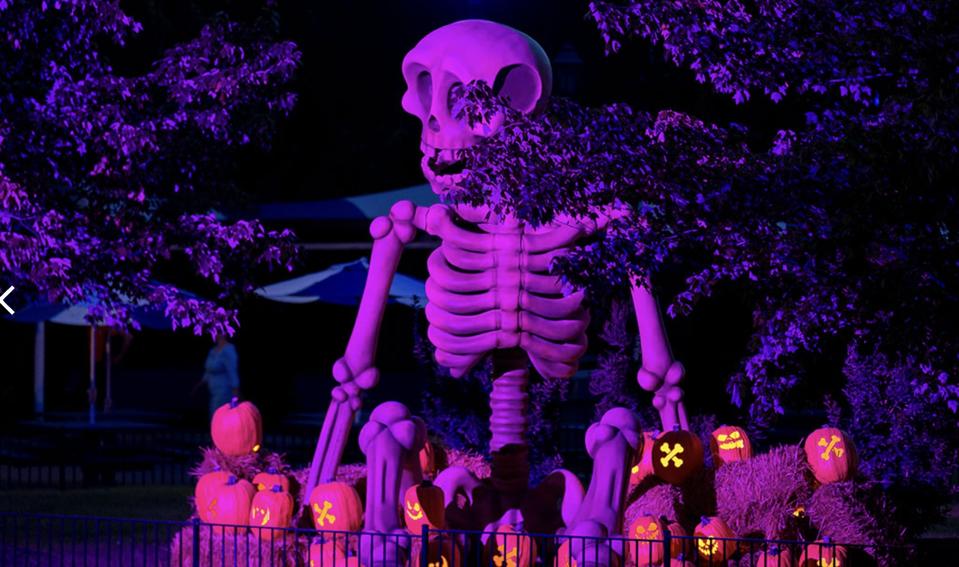 A Mini Guide To The Tricks, Treats, And Thrills Of SCarowinds