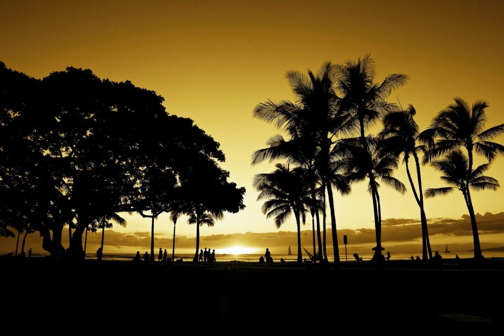 I’m A Tour Guide In Hawaii. Here’s Where To Stay In Waikiki To Experience Its Local Side And Avoid The Hustle And Bustle