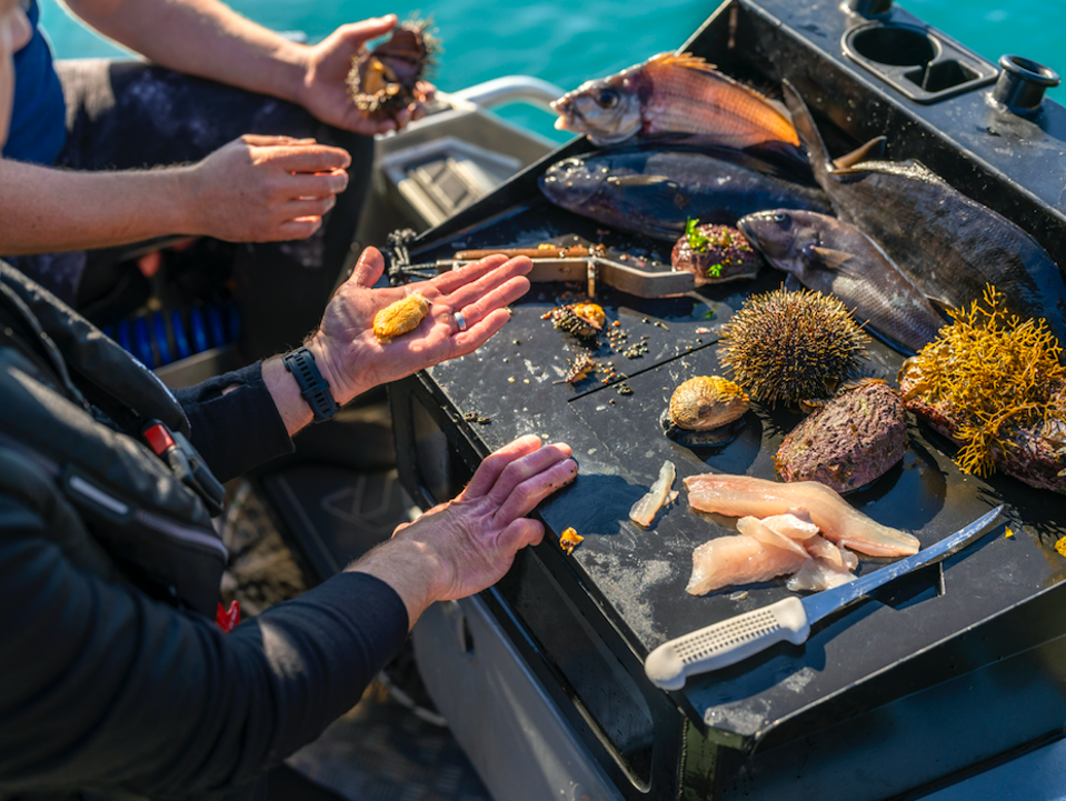 Michelin Guide Expands To New Zealand, Marking Its First Step Into Oceania