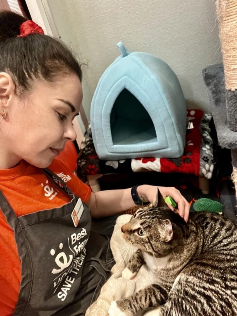 Volunteer Calms Shelter Cats With Innovative Approach: Reiki
