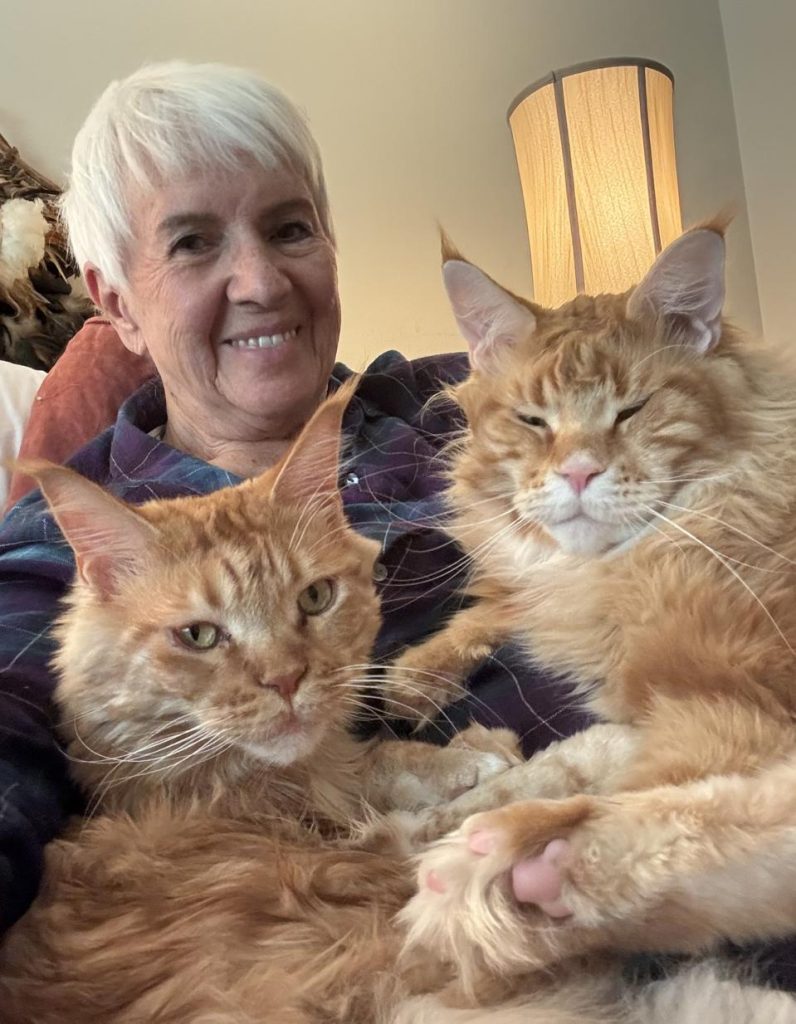 Cat Lost For 11 Days Reunites With Family Through Groundbreaking Tech