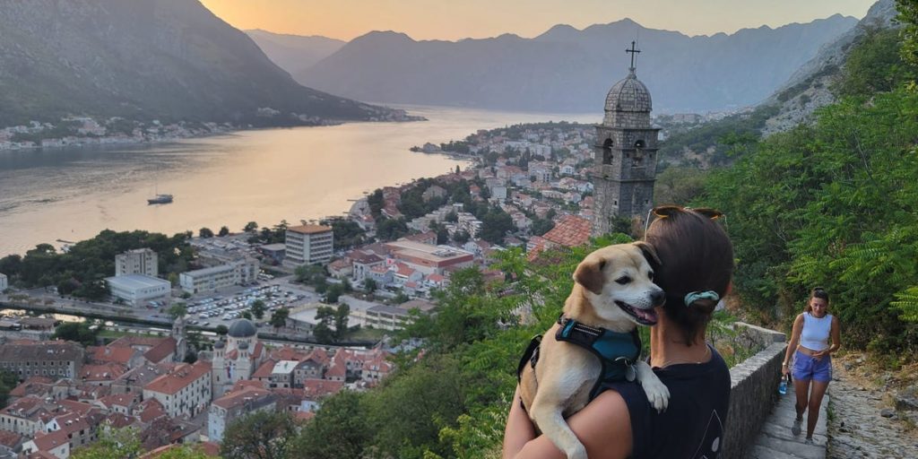 I left the US in 2015 and have since lived around the world. Reverse culture shock hit me harder than leaving ever did.