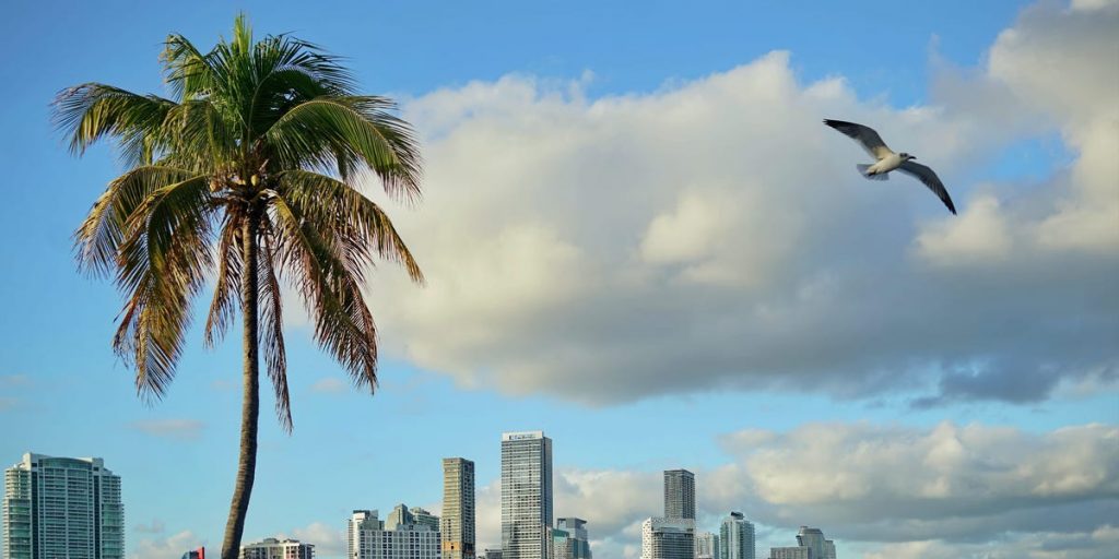 Where have all the Miami portfolio managers gone?