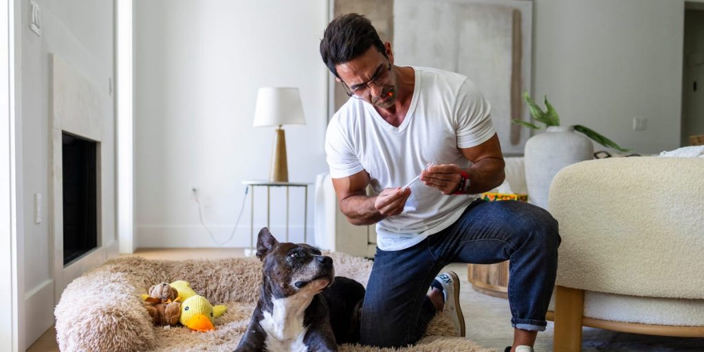 The Wolverine Peptide Stack Finds Its Way to Canine Care